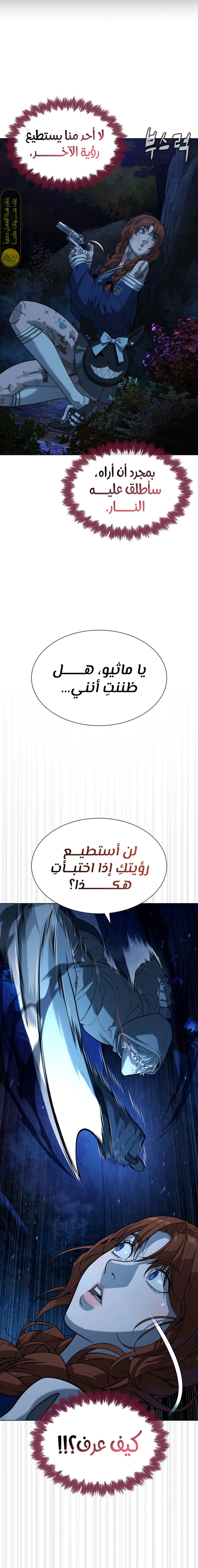 الصفحة 33