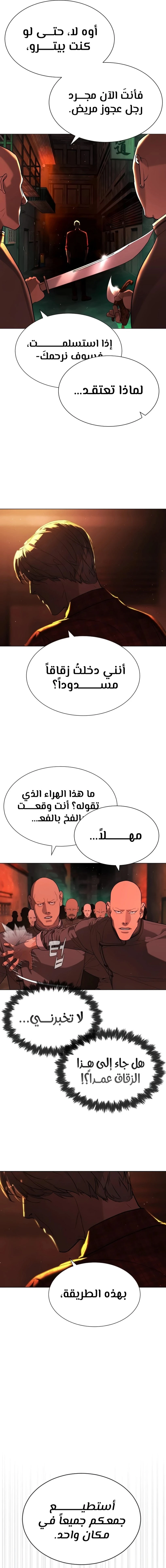 الصفحة 13