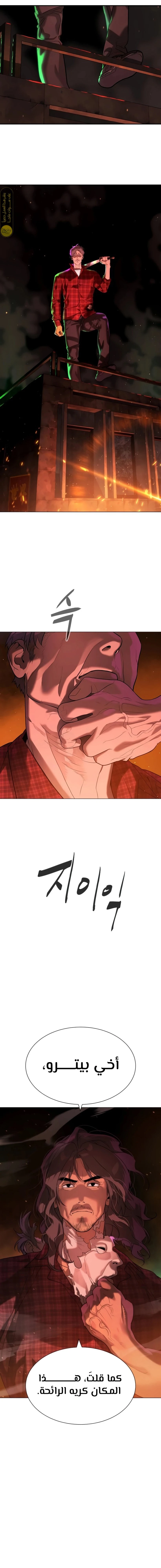 الصفحة 17