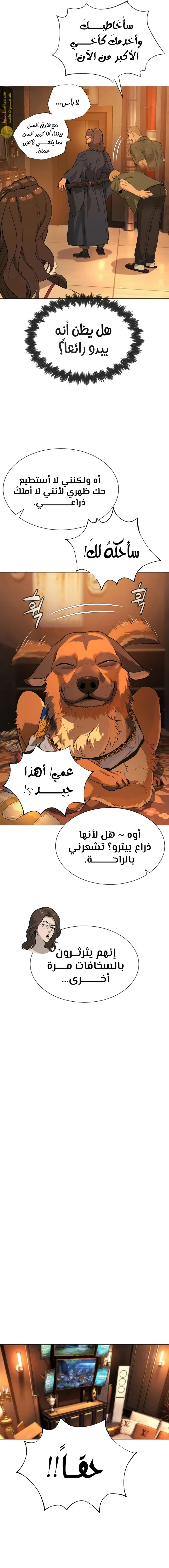 الصفحة 26
