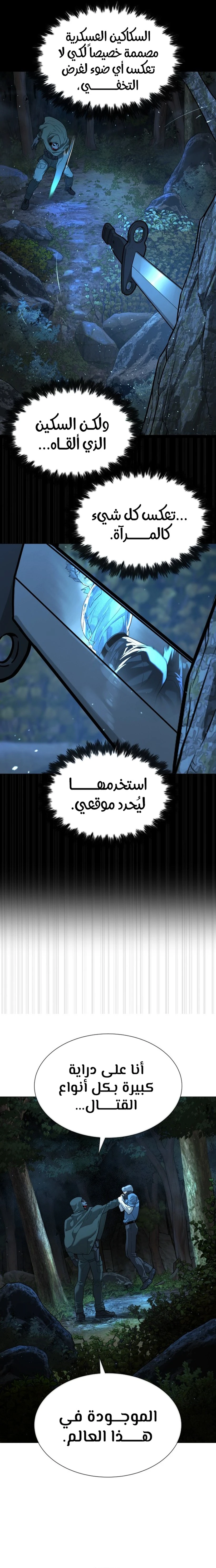 الصفحة 29