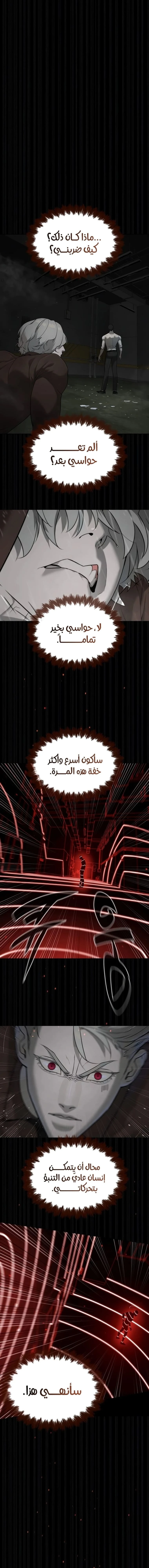 الصفحة 17