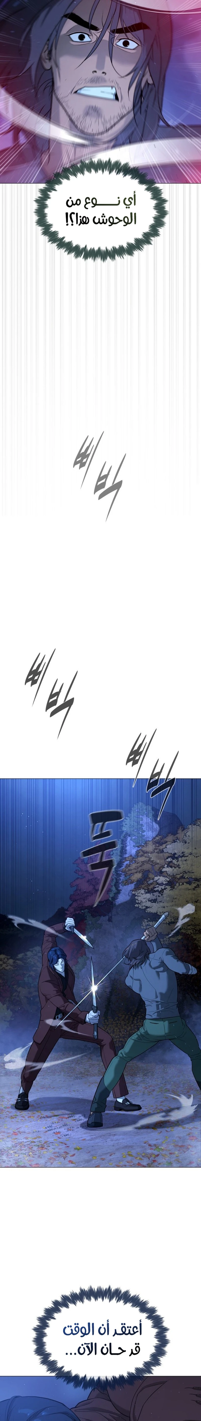 الصفحة 29