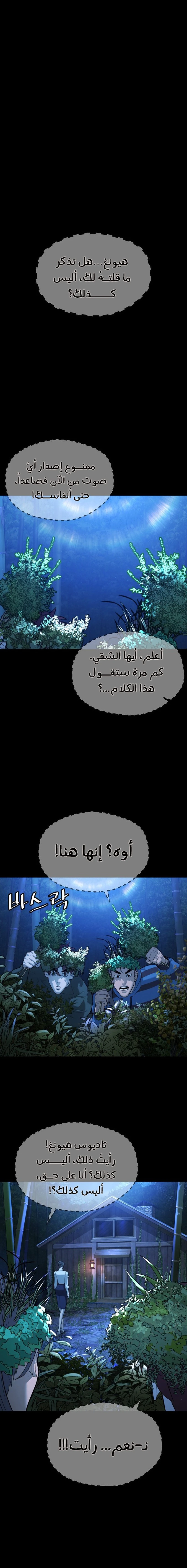 الصفحة 29