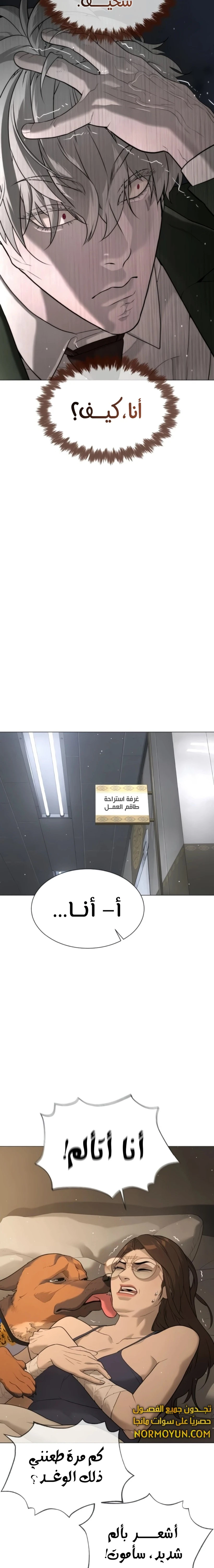 الصفحة 29