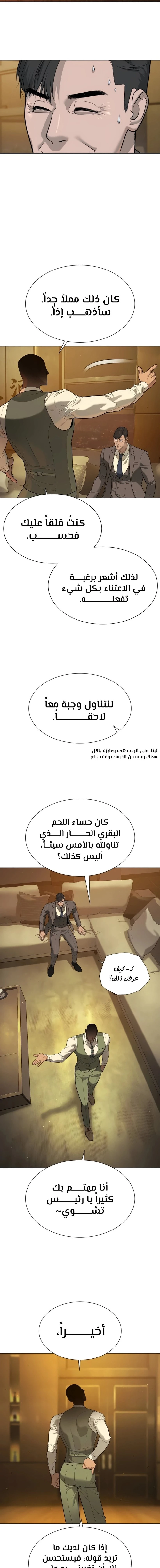 الصفحة 14