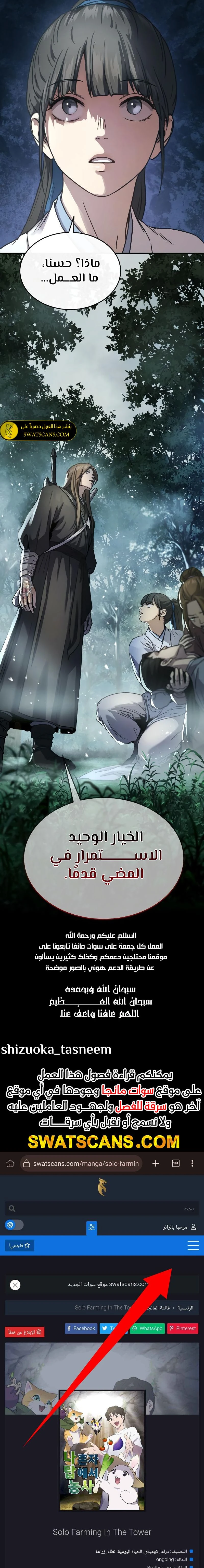 الصفحة 17