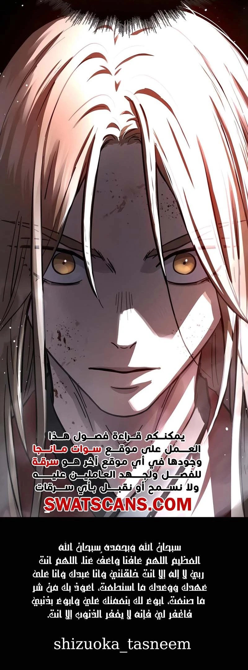 الصفحة 17