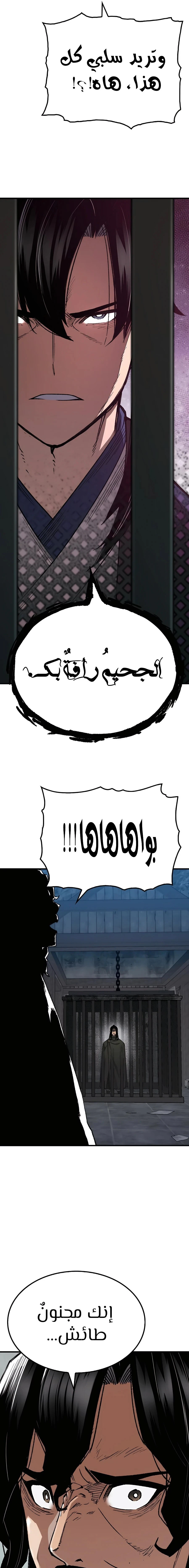 الصفحة 17