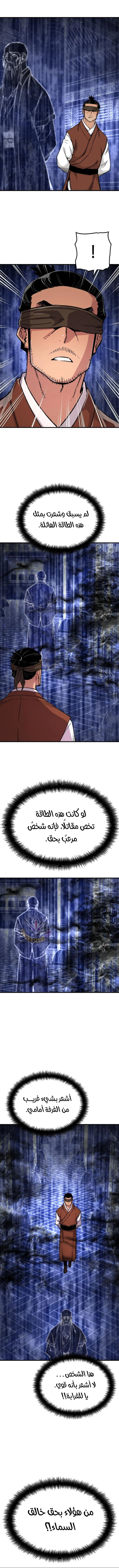 الصفحة 13