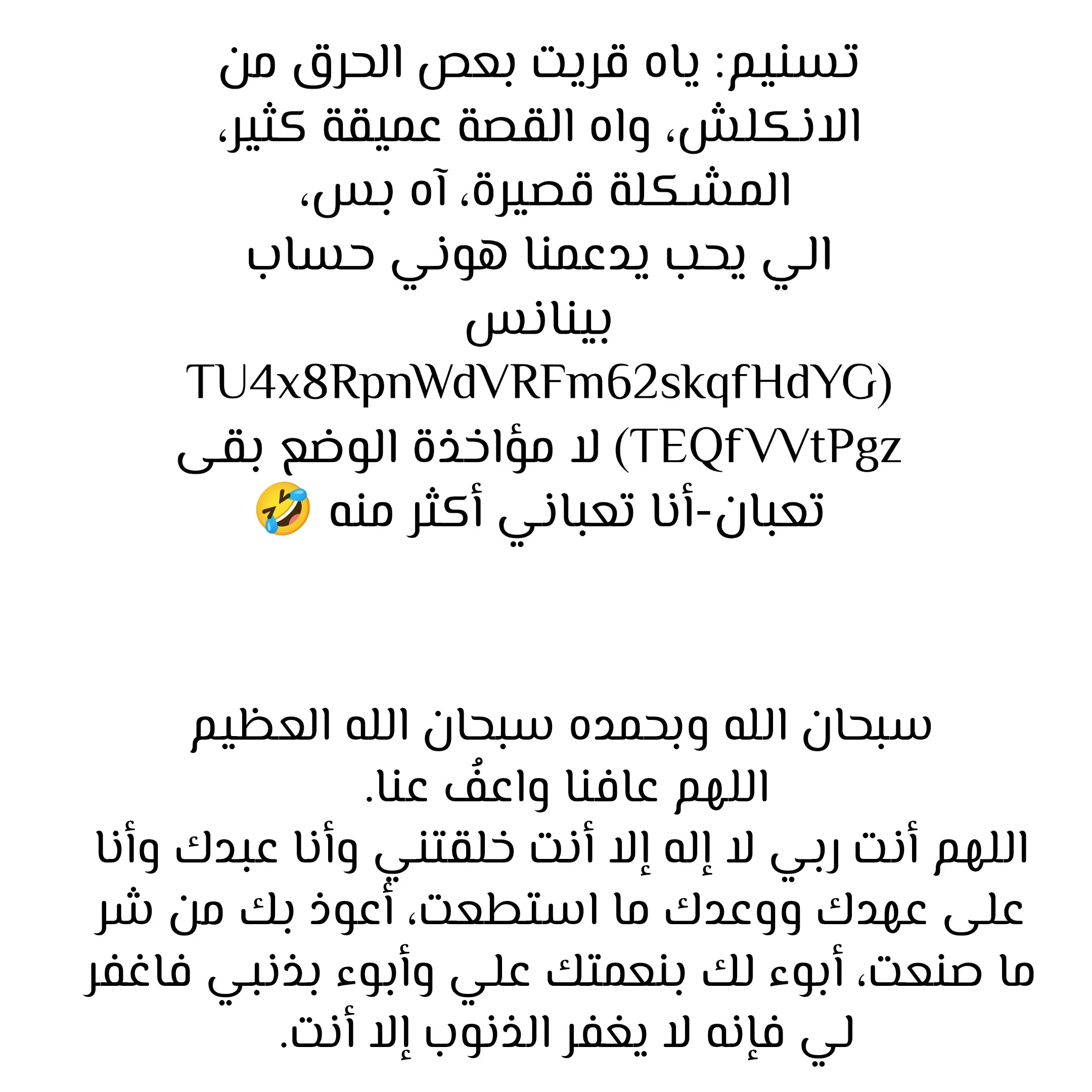 الصفحة 29