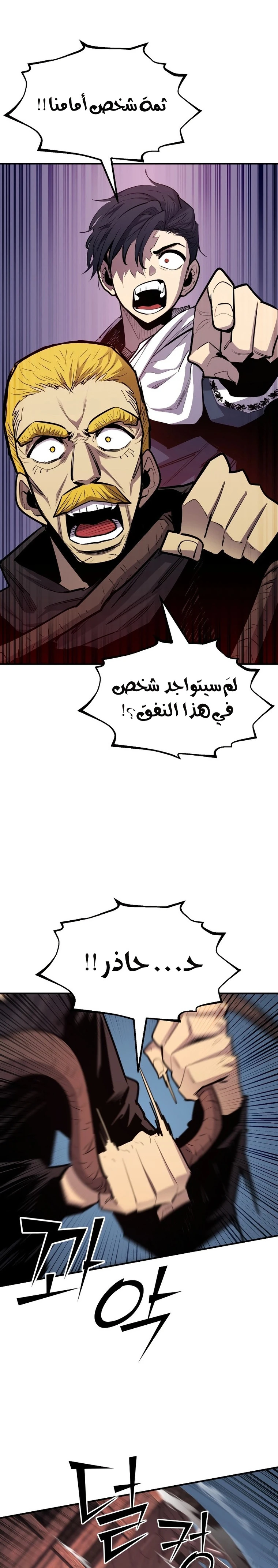 الصفحة 17