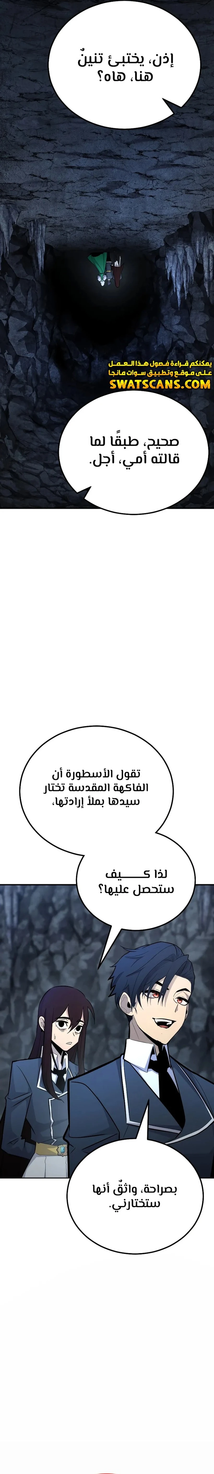 الصفحة 17