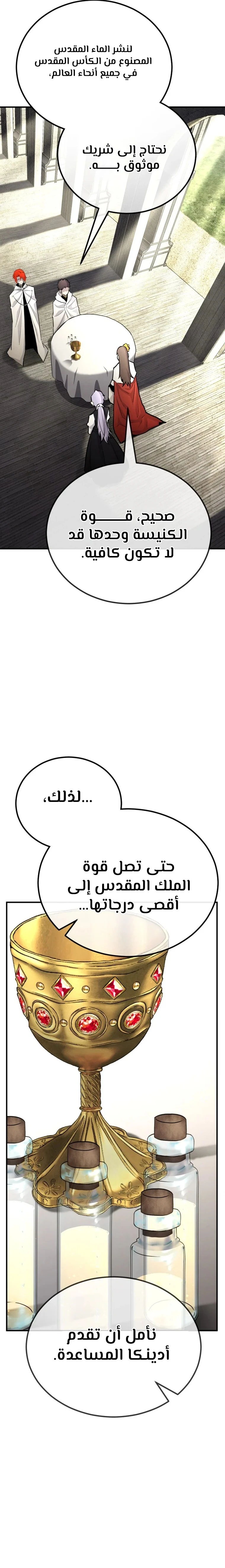الصفحة 17
