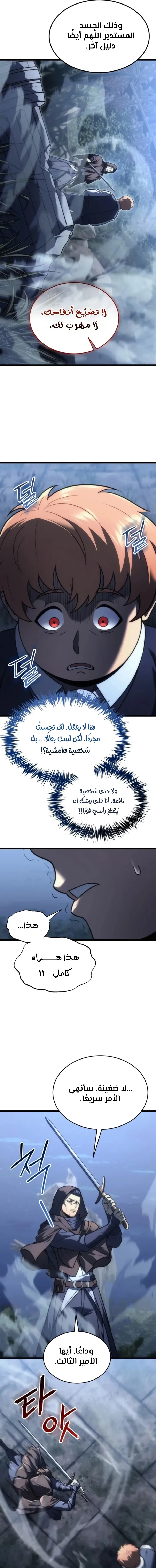 الصفحة 17