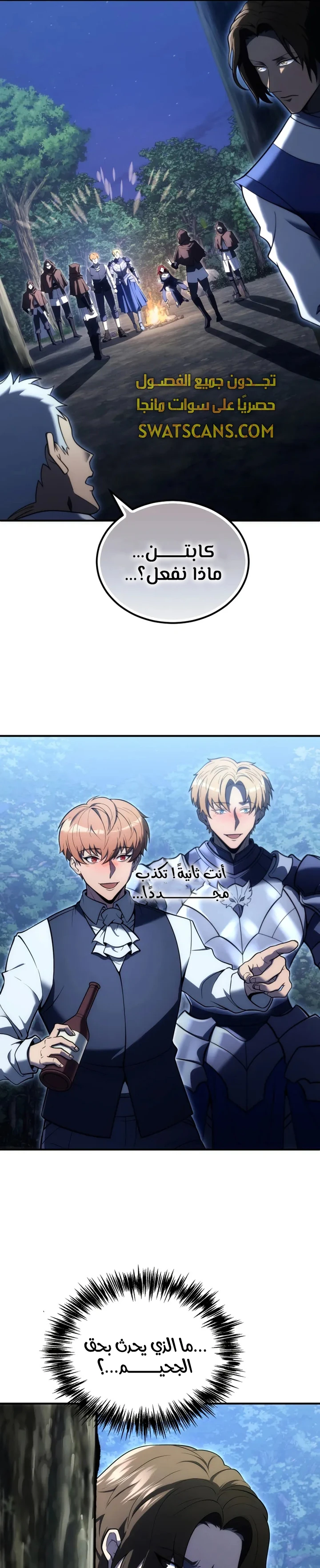 الصفحة 13