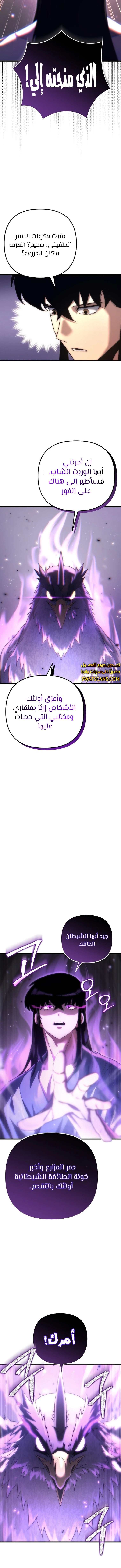 الصفحة 17