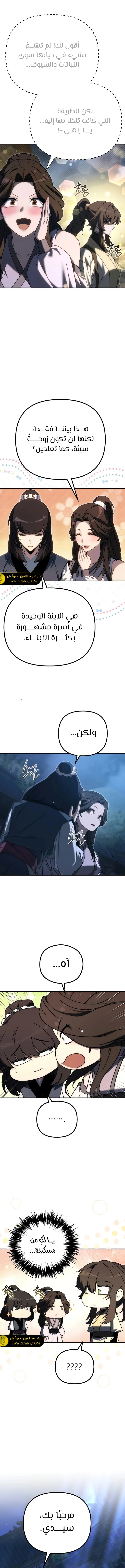 الصفحة 17