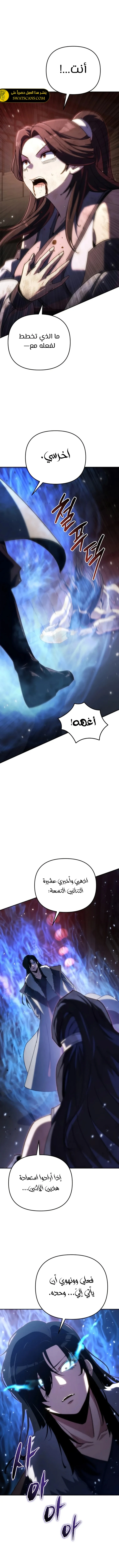الصفحة 17