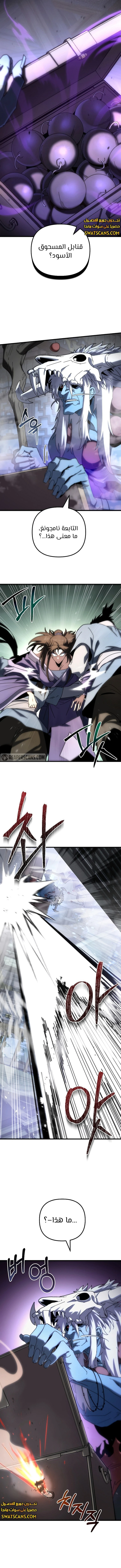 الصفحة 17