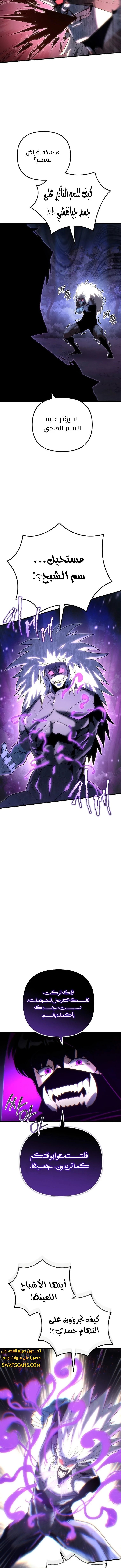 الصفحة 17