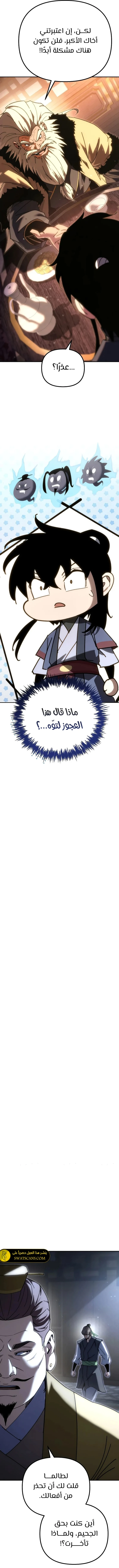 الصفحة 17