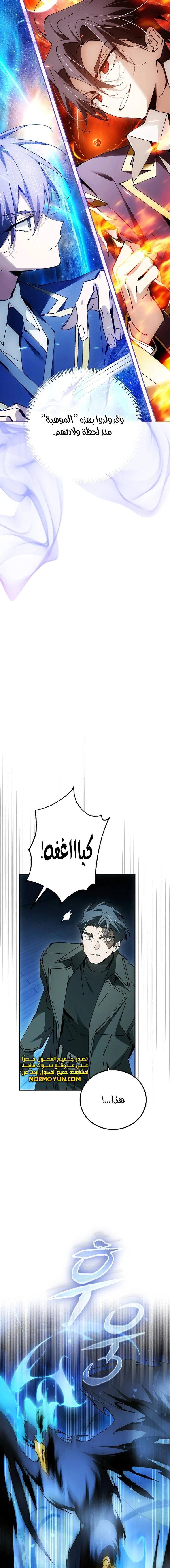 الصفحة 17