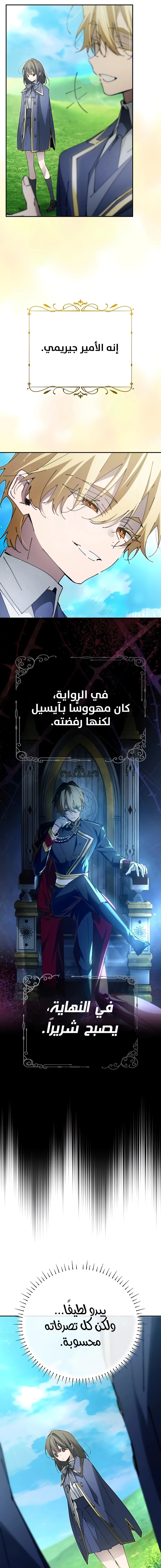 الصفحة 13