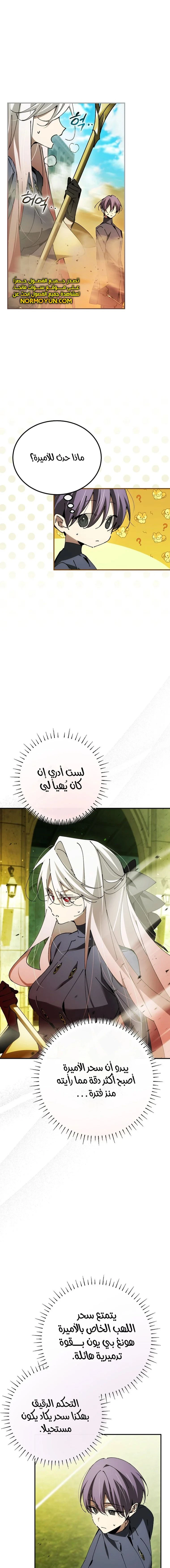 الصفحة 17