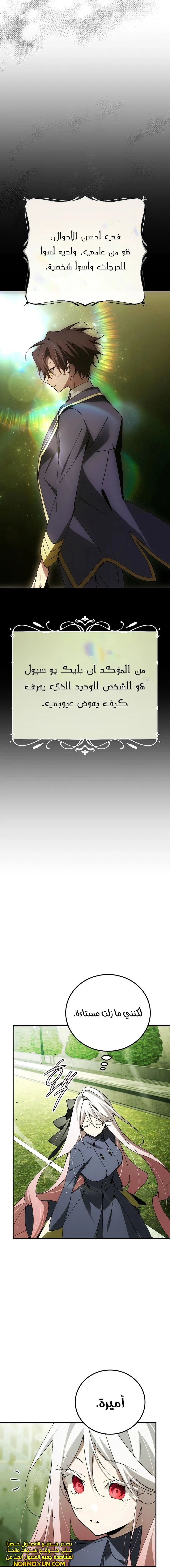 الصفحة 19