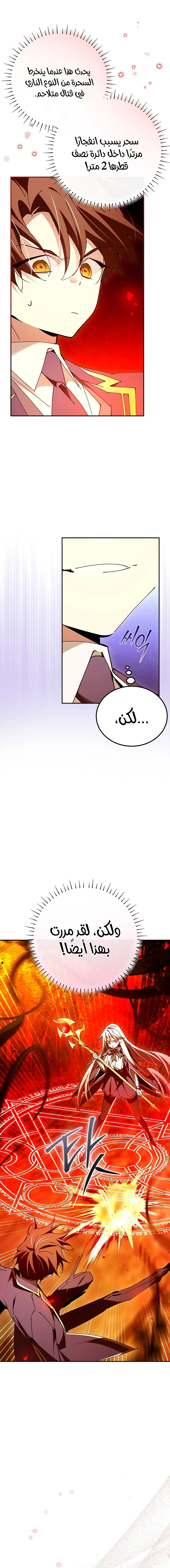 الصفحة 17