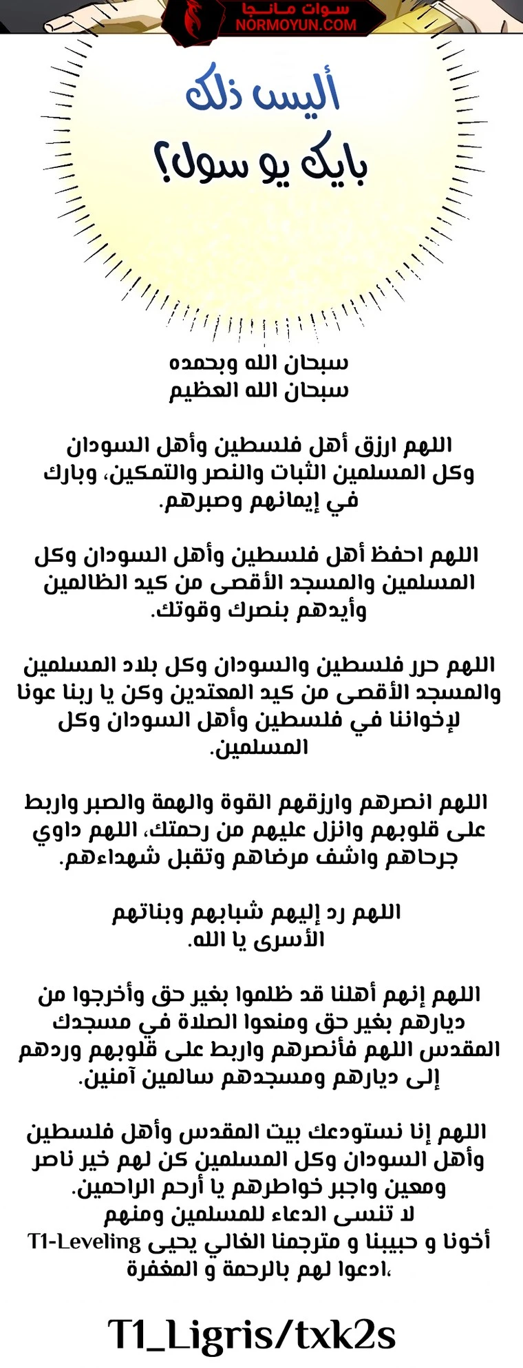 الصفحة 13