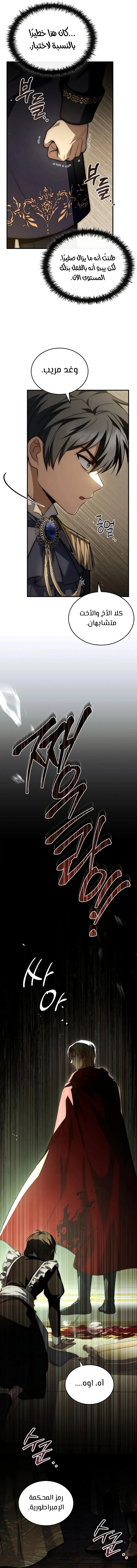 الصفحة 17