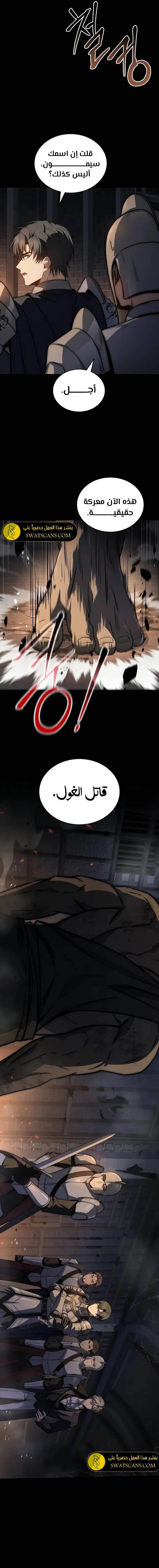 الصفحة 17