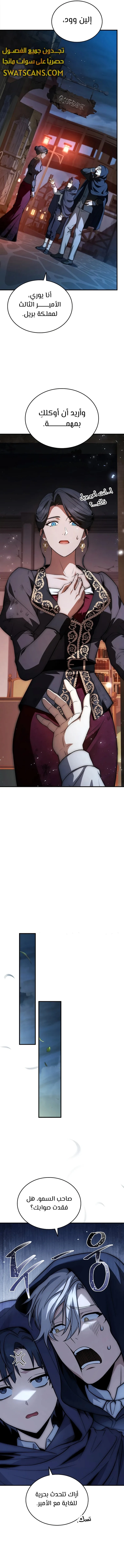 الصفحة 13