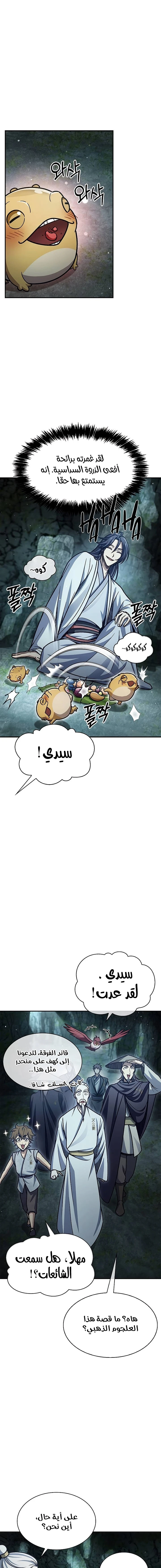 الصفحة 17
