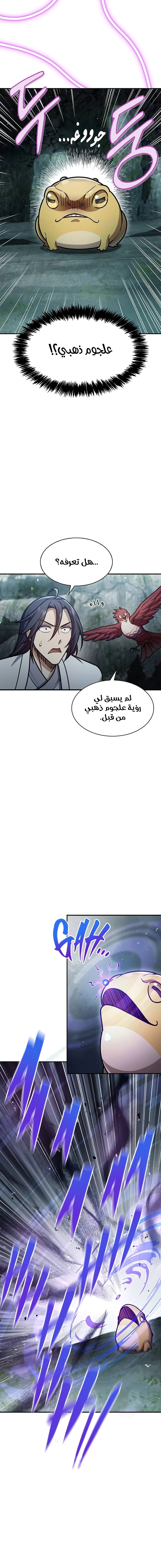 الصفحة 17