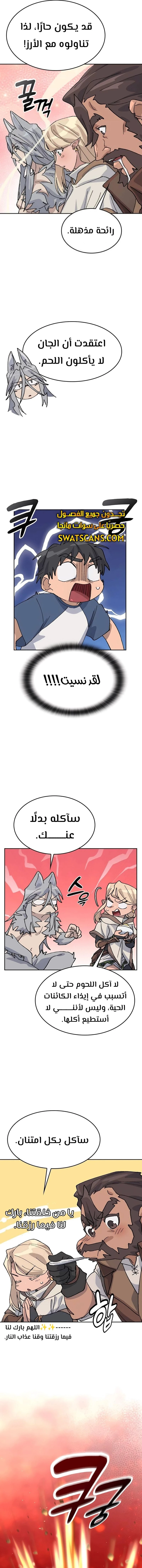 الصفحة 13