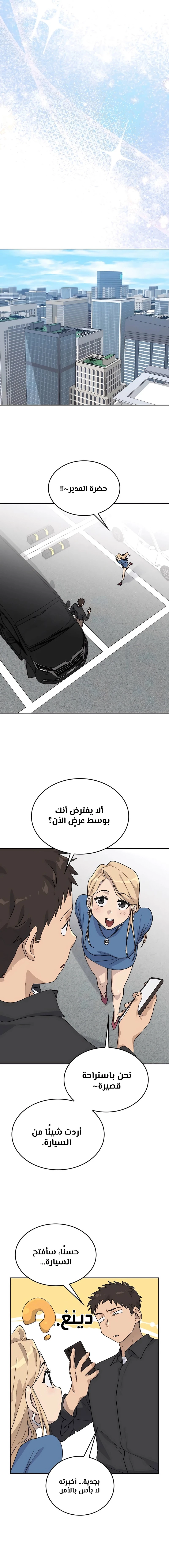 الصفحة 13