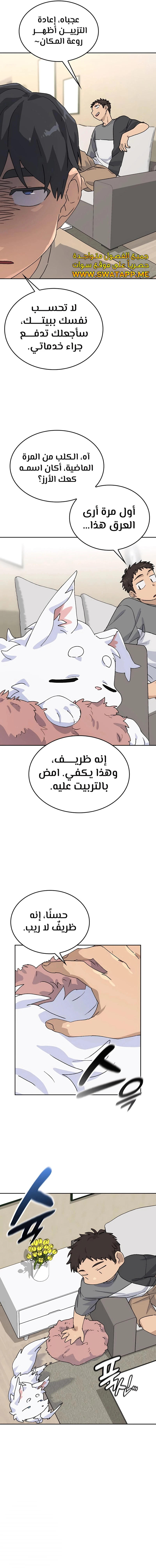 الصفحة 12