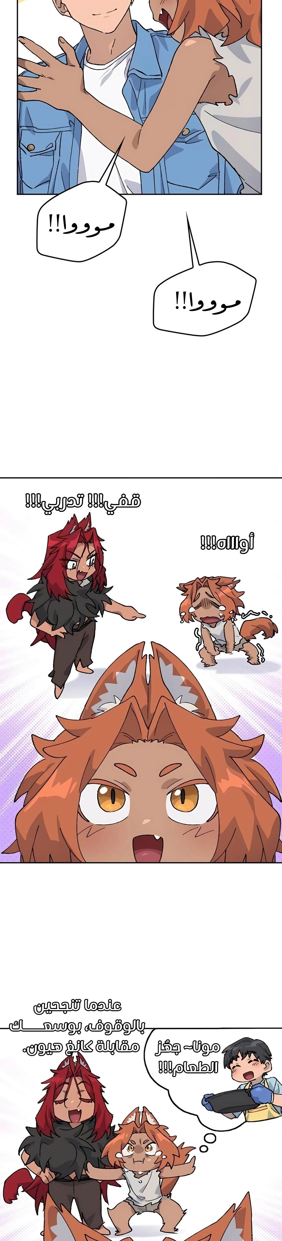 الصفحة 16