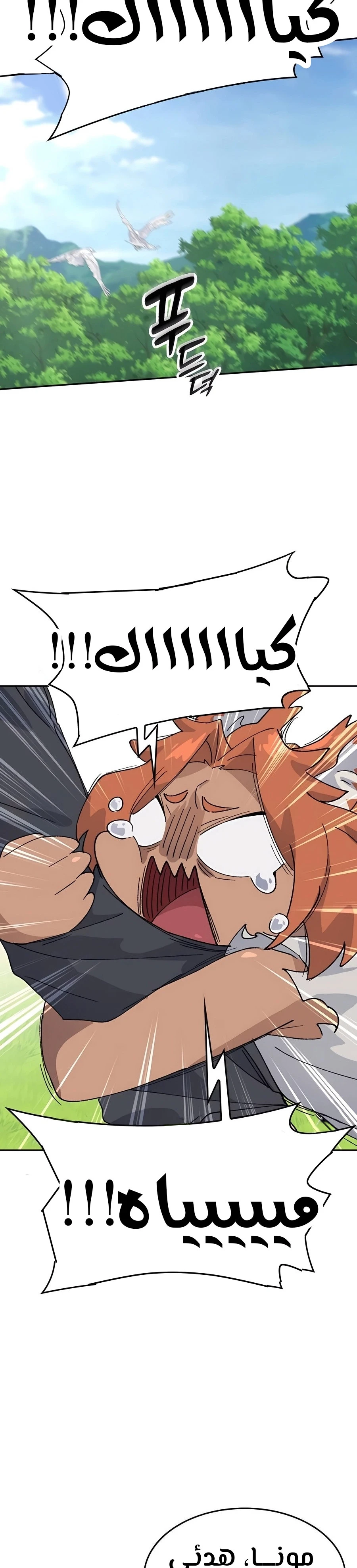 الصفحة 19