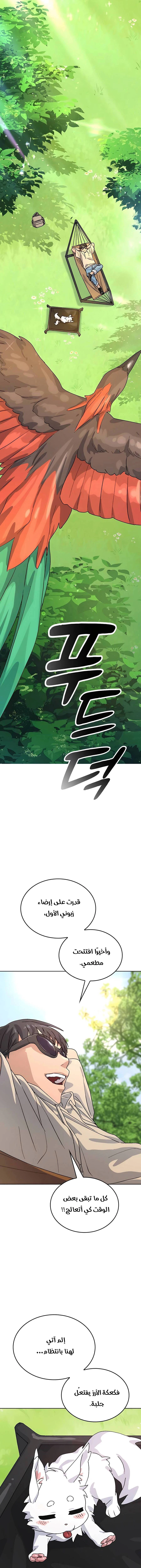 الصفحة 11