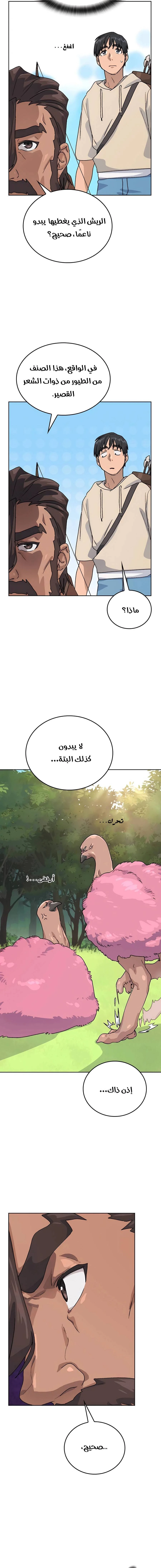الصفحة 17