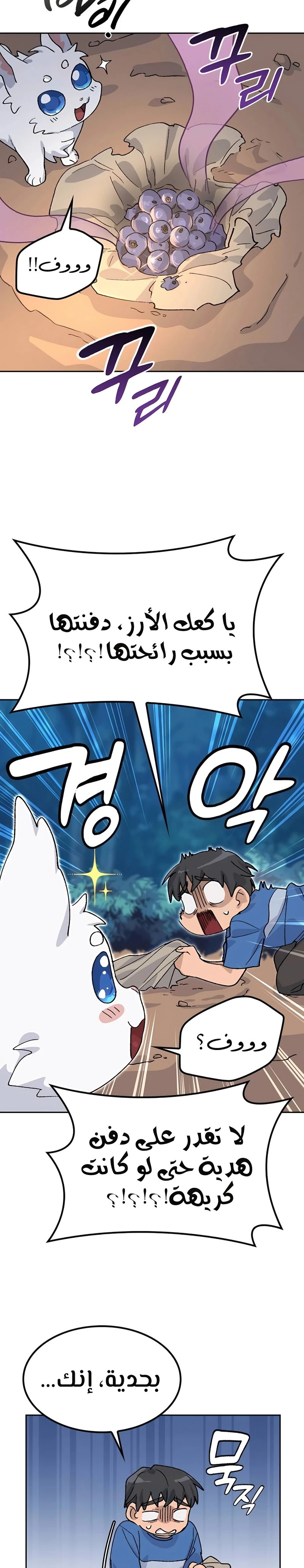الصفحة 27