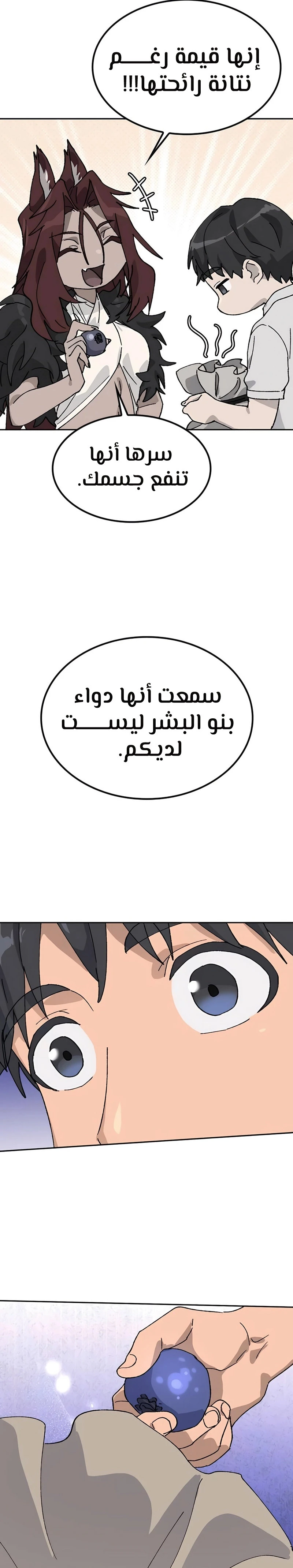 الصفحة 29