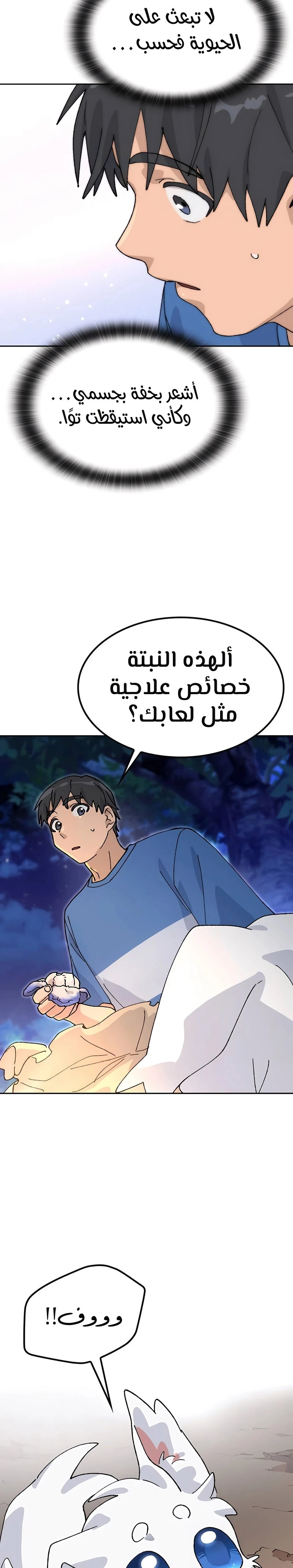 الصفحة 31