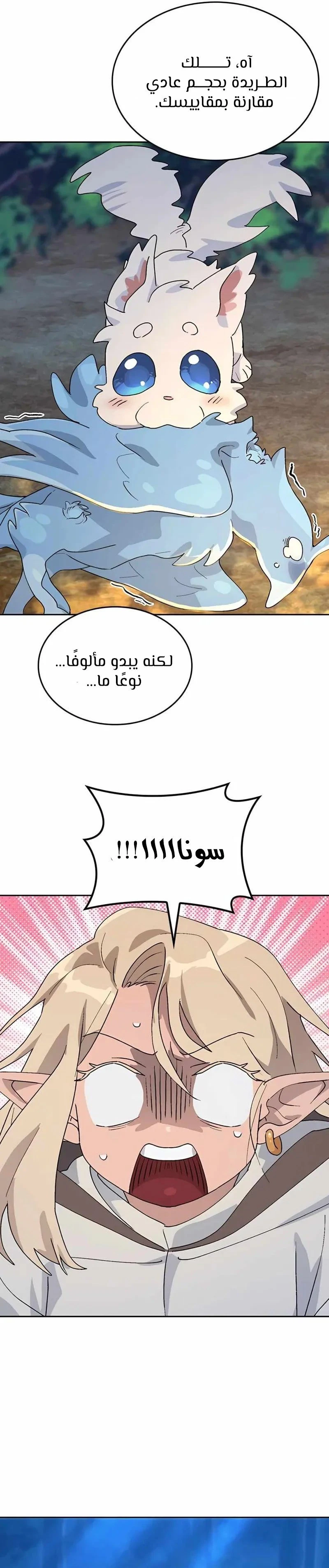 الصفحة 19