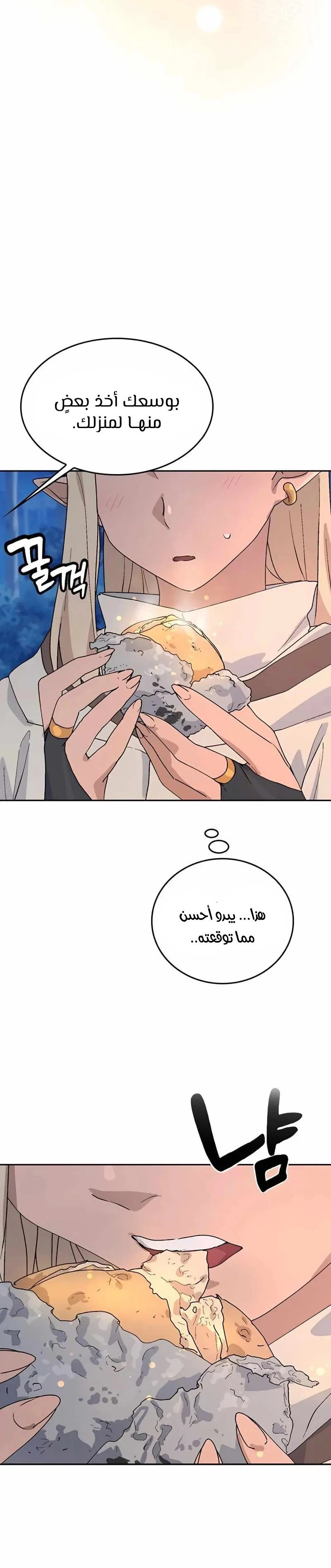 الصفحة 30