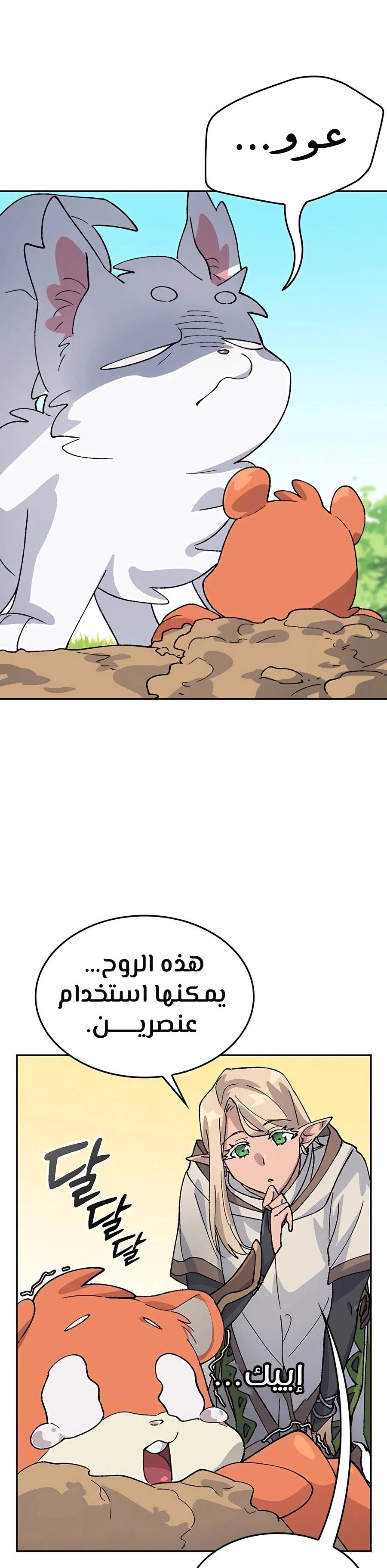 الصفحة 29